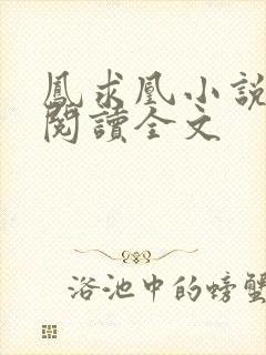 凤求凰小说免费阅读全文