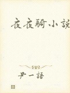 夜夜骑小说