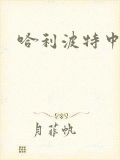 哈利波特中文版封面