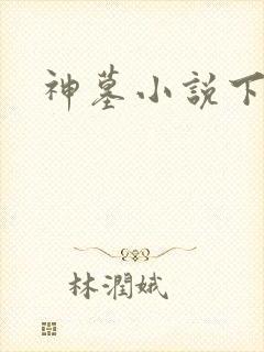 神墓小说下载