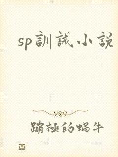 sp训诫小说