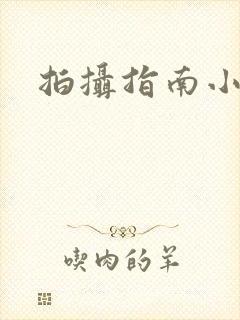 拍摄指南小说封面