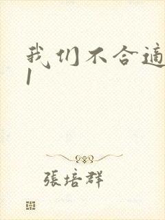 《我们不合适1V1》小说封面