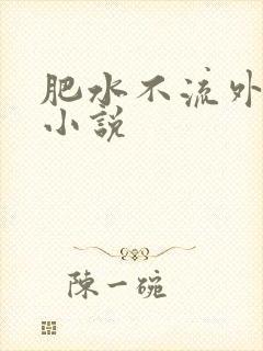 肥水不流外人田小说