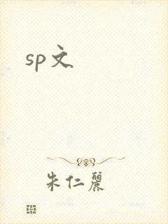 《sp文》小说封面