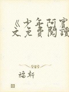 《少年阿宾》全文免费阅读