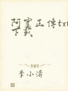 阿宾正传txt下载