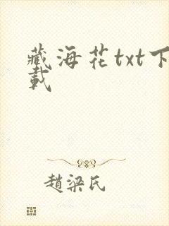 藏海花txt下载