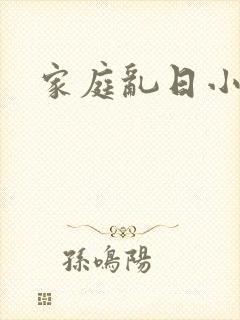家庭乱日小说