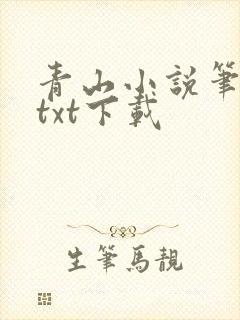 青山小说笔趣阁txt下载