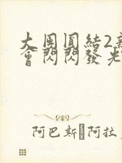 大团圆结2亲情会闪闪发光目录