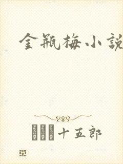 金瓶梅小说下载