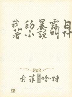 我的暴露日记原著小说叫什么