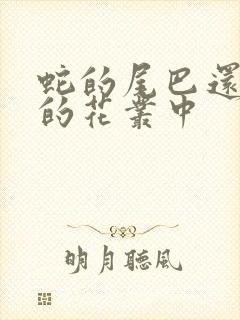 蛇的尾巴还在我的花丛中