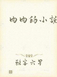 肉肉的小说