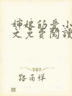 婶娘的爱小说全文免费阅读封面