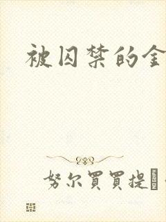 被囚禁的金丝雀