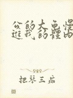 公的大龟慢慢挺进我的体内