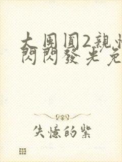 大团圆2亲情会闪闪发光免费