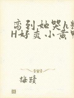 脔到她哭h粗话H好爽小黄鸭视频