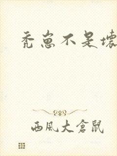 秃崽不是坏女人