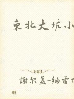 东北大坑小说