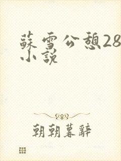 苏雪公憩28篇小说