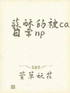 苏酥的被cao日常np