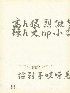 高h猛烈做哭高辣h文np小说