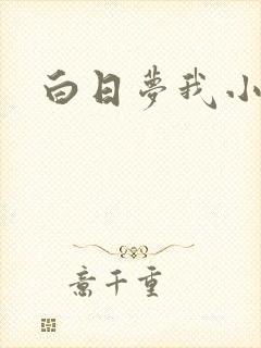 白日梦我小说