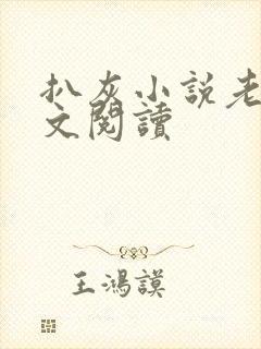 扒灰小说老马全文阅读