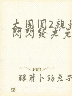 大团圆2亲情会闪闪发光免费