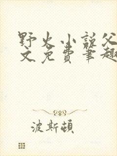 野火小说父女全文免费笔趣阁