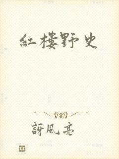 《红楼野史》小说封面