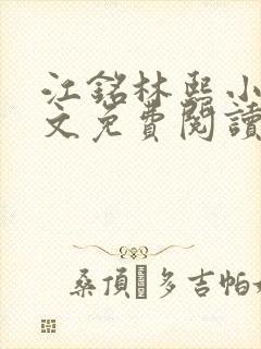 江铭林熙小说全文免费阅读