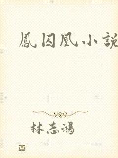 凤囚凰小说