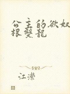 公主的欲奴h四根双龙