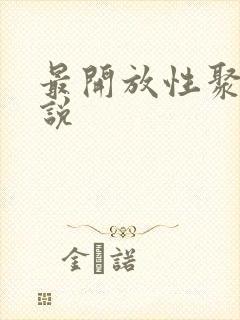 最开放性聚会小说