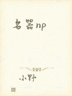名器np