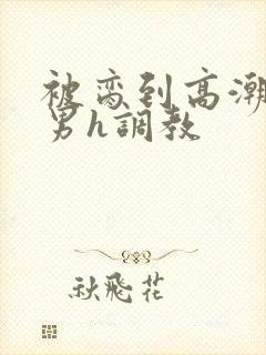 被脔到高潮的直男h调教