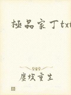 极品家丁txt