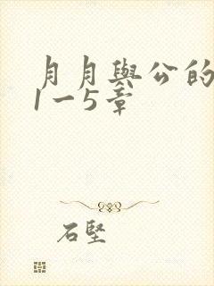 月月与公的激情1一5章