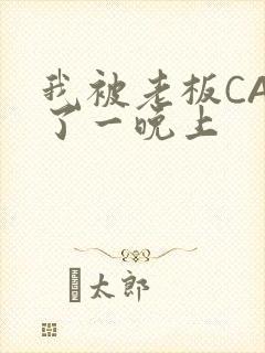 我被老板CAO了一晚上