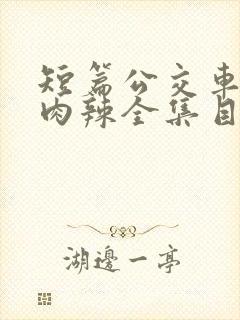 短篇公交车高h肉辣全集目录