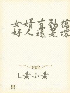 女婿有劲枪枪是好人还是坏人