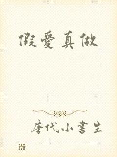 假爱真做