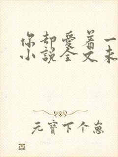 你却爱着一个他小说全文未删减免费