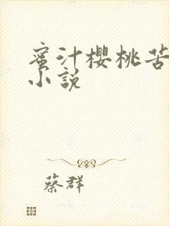 蜜汁樱桃苦咖啡小说封面