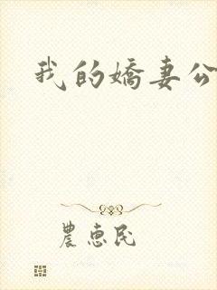 我的娇妻公务员