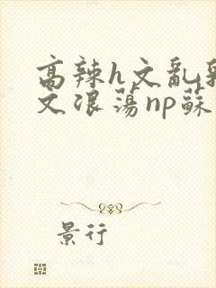 高辣h文乱乳h文浪荡np苏夏